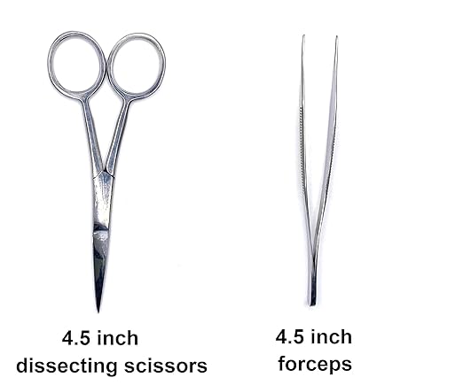 20 Piece Dissecting Set