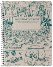Everglades Decomposition Book