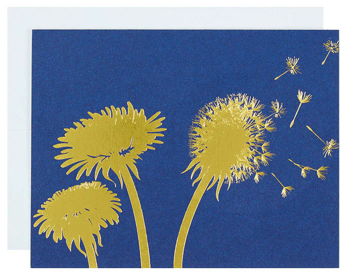 No Text | Dandelions