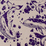 Humpback Whales Decomposition Book